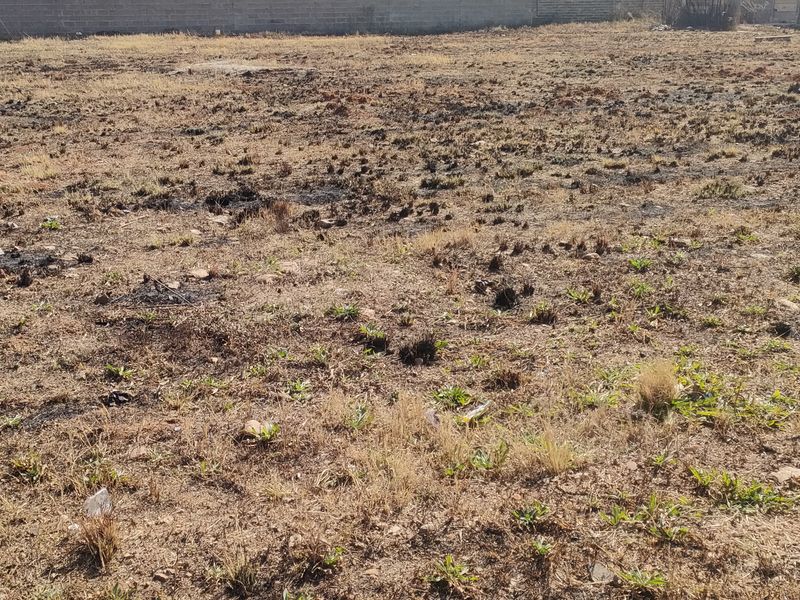 A vacant residential plot featuring dry, scorched vegetation and a perimeter boundary wall.