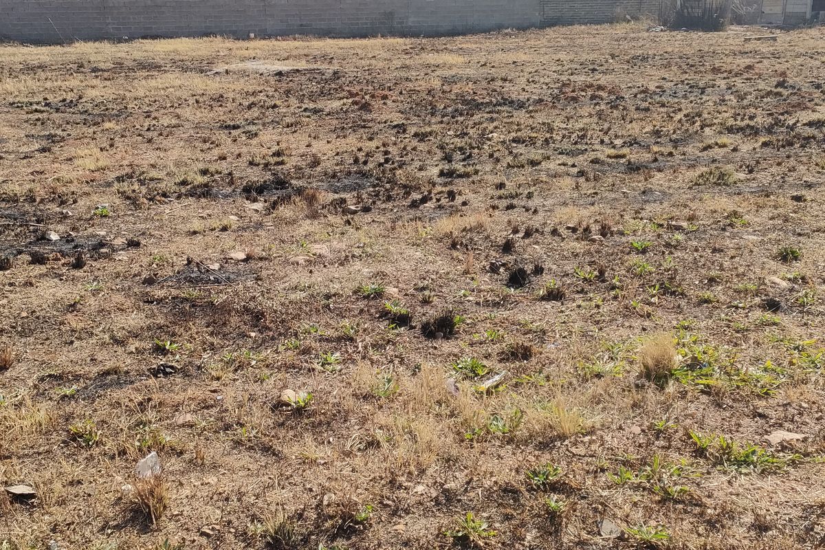 A vacant residential plot featuring dry, scorched vegetation and a perimeter boundary wall.