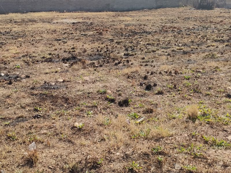 A vacant residential plot featuring dry, scorched vegetation and a perimeter boundary wall.