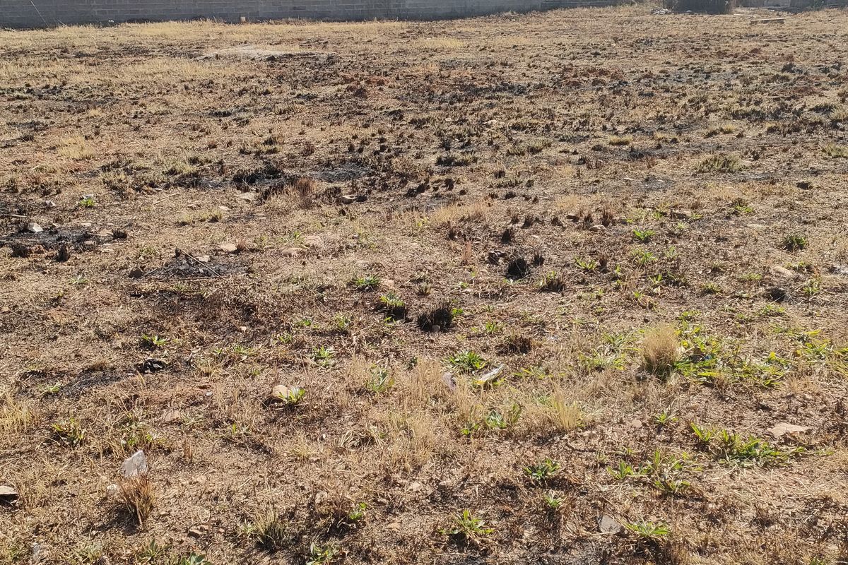 A vacant residential plot featuring dry, scorched vegetation and a perimeter boundary wall, offering a blank canvas for future development.