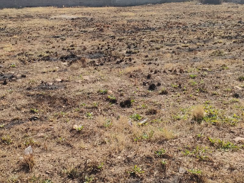 A vacant residential plot featuring dry, scorched vegetation and a perimeter boundary wall, offering a blank canvas for future development.