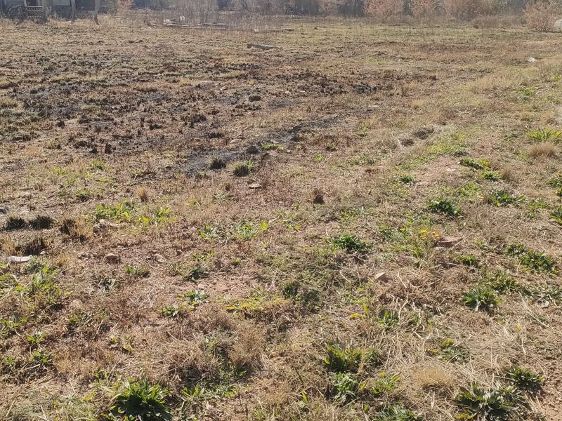 A view of an undeveloped residential plot of land with natural vegetation and dirt road access.