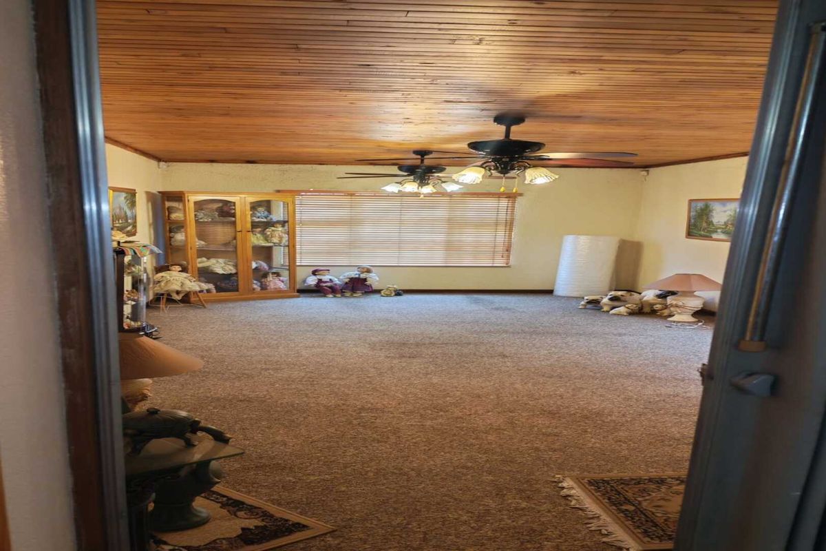 Spacious living room featuring a timber-clad ceiling, dual ceiling fans, and large windows, offering a blank canvas for potential modernization.