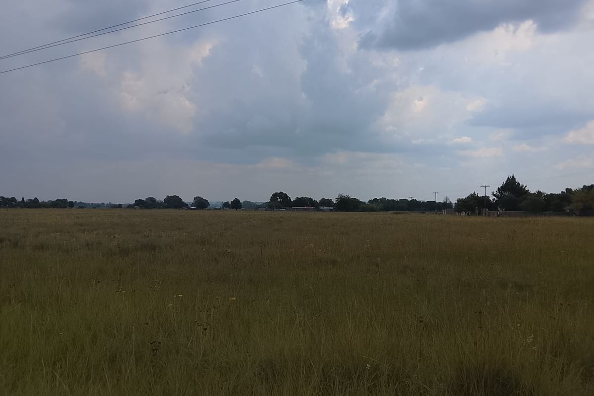 3.0984 HA Vacant Land - Photo 4