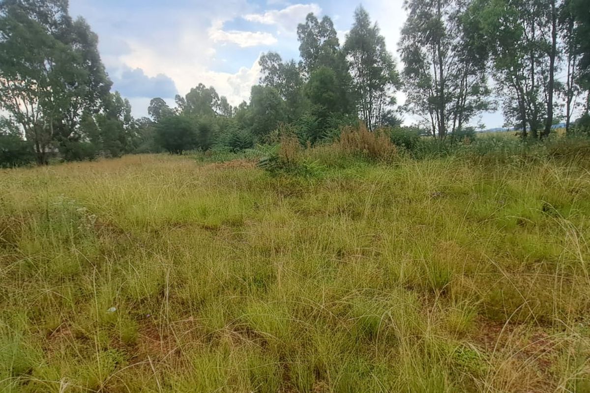 Build your dream home on this spacious 792sqm Freehold stand - Photo 4