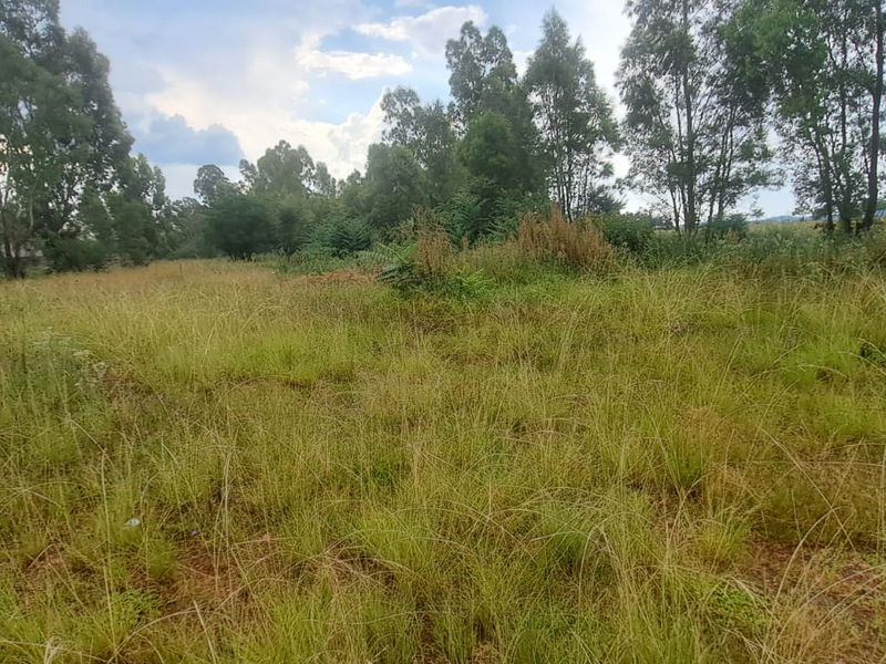 Build your dream home on this spacious 792sqm Freehold stand - Photo 4