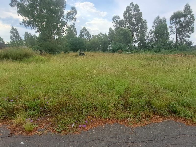 Build your dream home on this spacious 792sqm Freehold stand - Photo 1