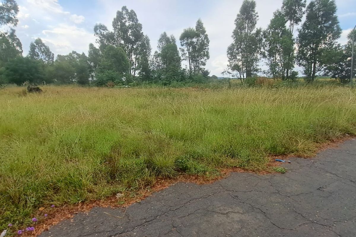 Build your dream home on this spacious 792sqm Freehold stand - Photo 2