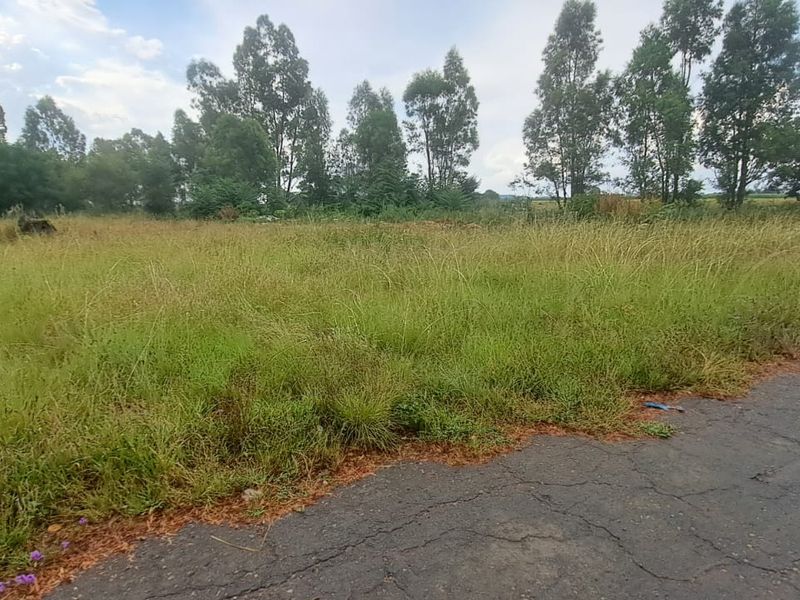 Build your dream home on this spacious 792sqm Freehold stand - Photo 2