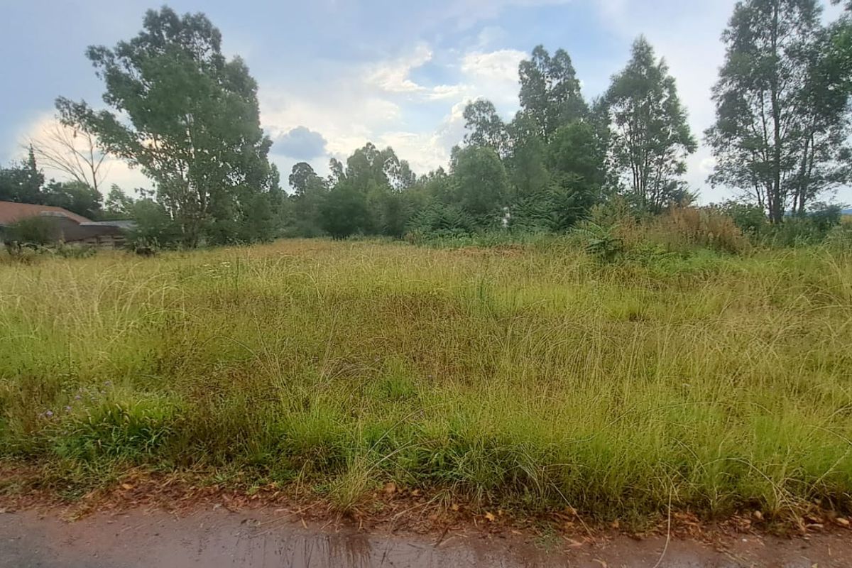 Build your dream home on this spacious 792sqm Freehold stand - Photo 3