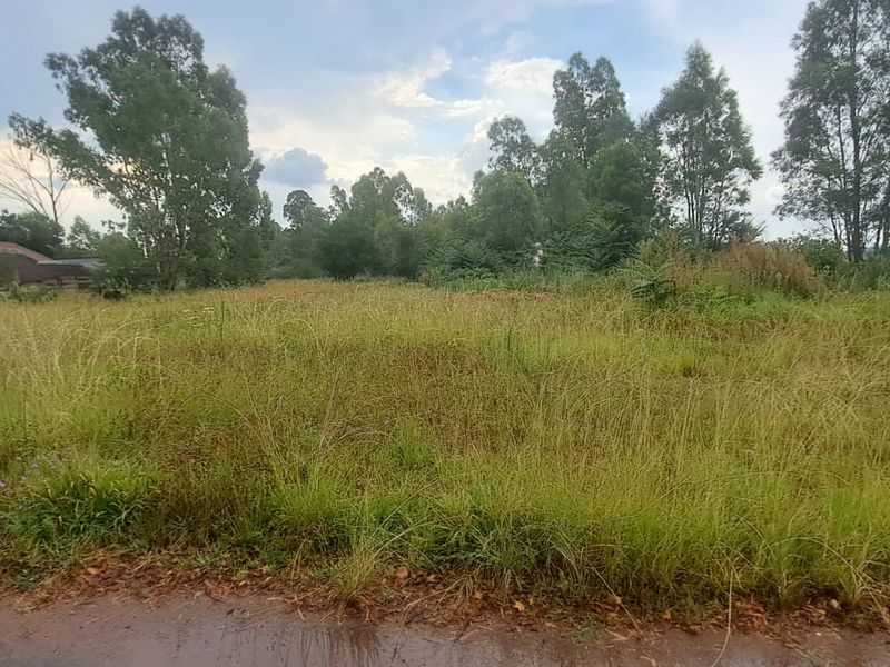 Build your dream home on this spacious 792sqm Freehold stand - Photo 3