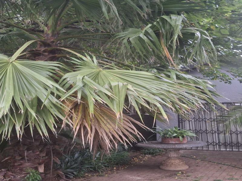 INVESTOR’S DREAM IN FALCONRIDGE – Exceptional Rental Income Potential! - Photo 10