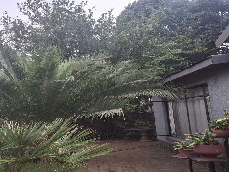 INVESTOR’S DREAM IN FALCONRIDGE – Exceptional Rental Income Potential! - Photo 9
