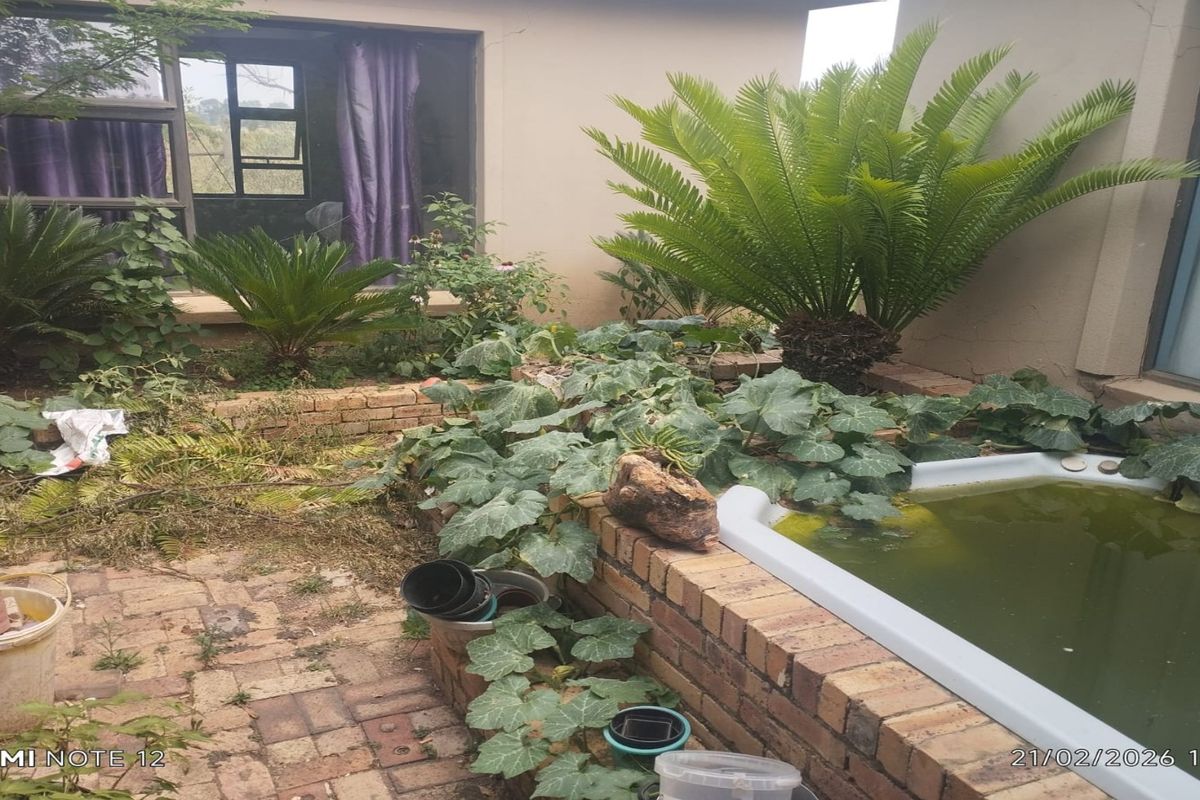 A rear courtyard area featuring a raised brick-built pond, paved flooring, and established garden beds adjacent to the main dwelling structure.