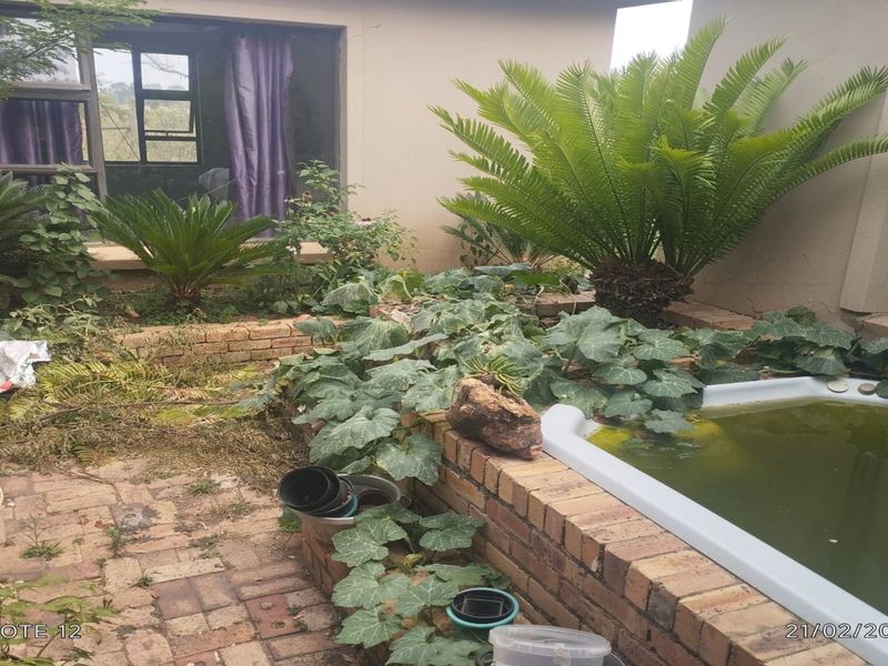 Smallholding with Space, Comfort & Lifestyle Living - Photo 7