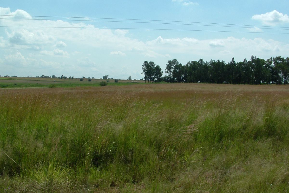 9 Hectares Vacant Agricultural Land for Sale – Uitvlugt, Three Rivers, Vereeniging - Photo 2