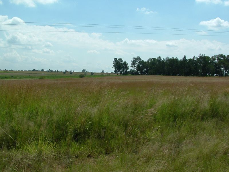 9 Hectares Vacant Agricultural Land for Sale – Uitvlugt, Three Rivers, Vereeniging - Photo 2