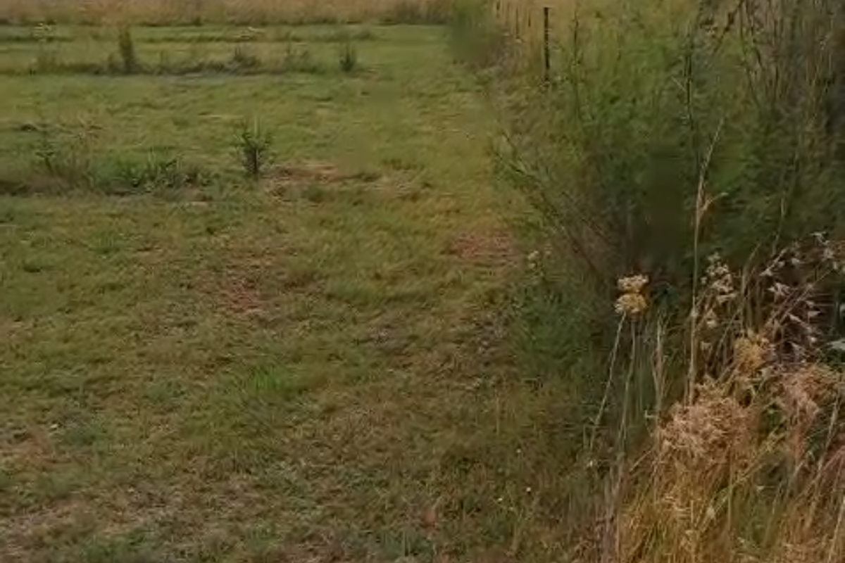 Prime vacant land in Lindequesdrif - Photo 5