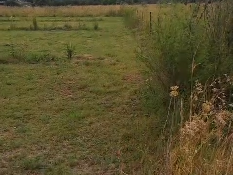 Prime vacant land in Lindequesdrif - Photo 5