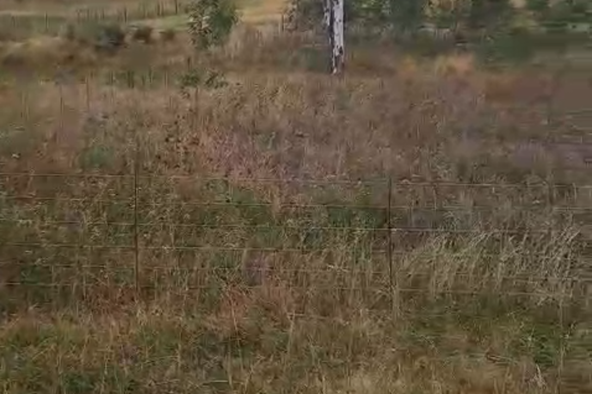 Prime vacant land in Lindequesdrif - Photo 4