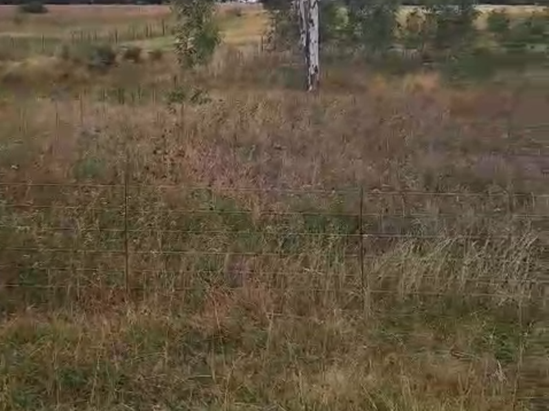 Prime vacant land in Lindequesdrif - Photo 4