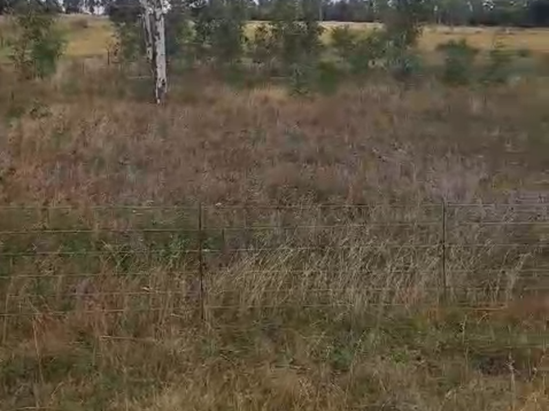 Prime vacant land in Lindequesdrif - Photo 10