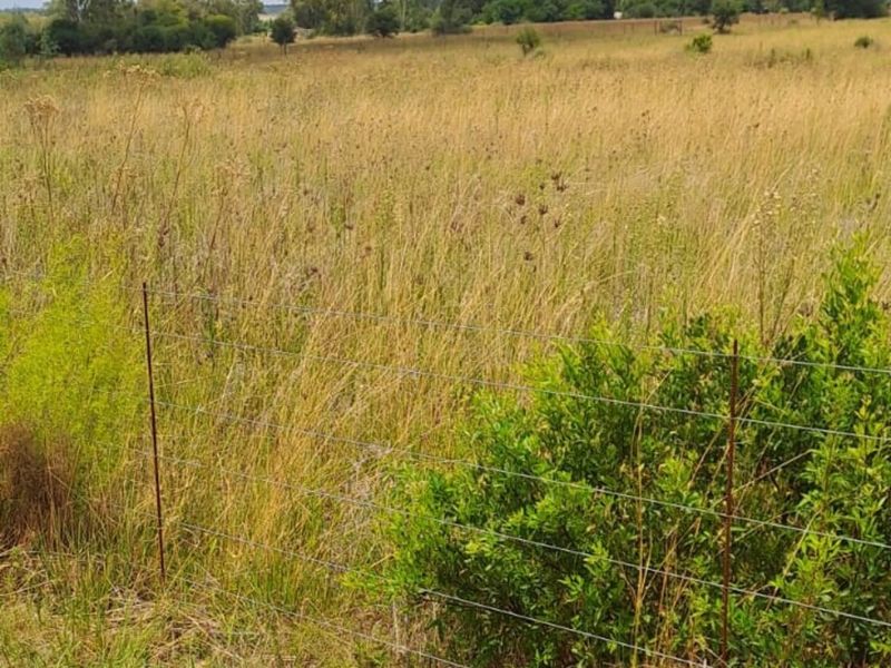 Prime vacant land in Lindequesdrif - Photo 1