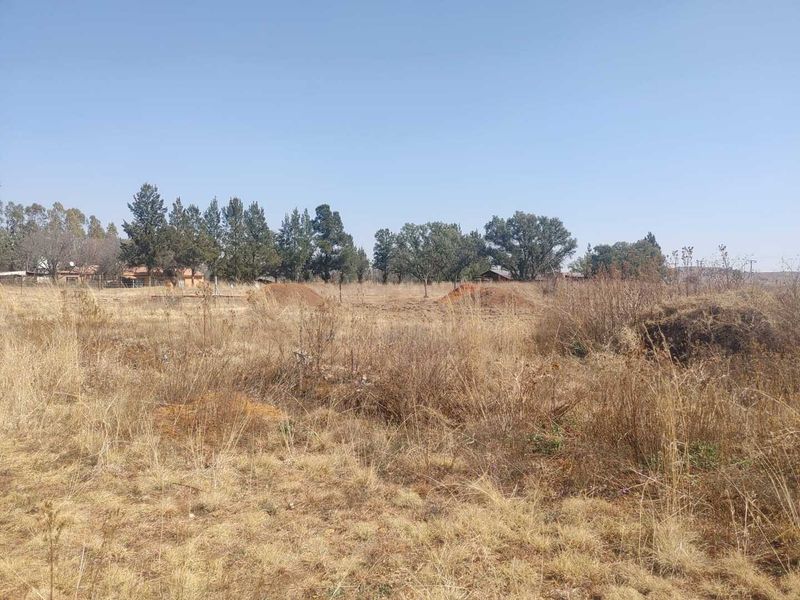 Prime vacant land in Lindequesdrif - Photo 9