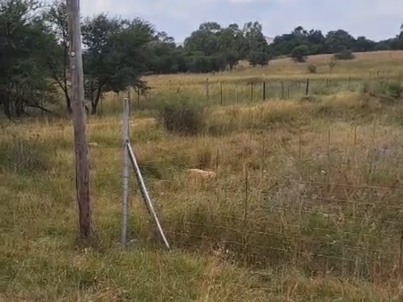Prime vacant land in Lindequesdrif - Photo 8
