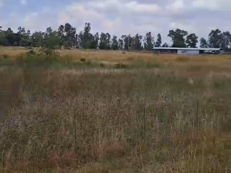 Prime vacant land in Lindequesdrif - Photo 2
