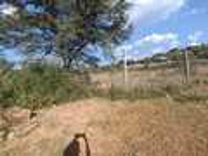 Vacant land for Sale - Photo 10