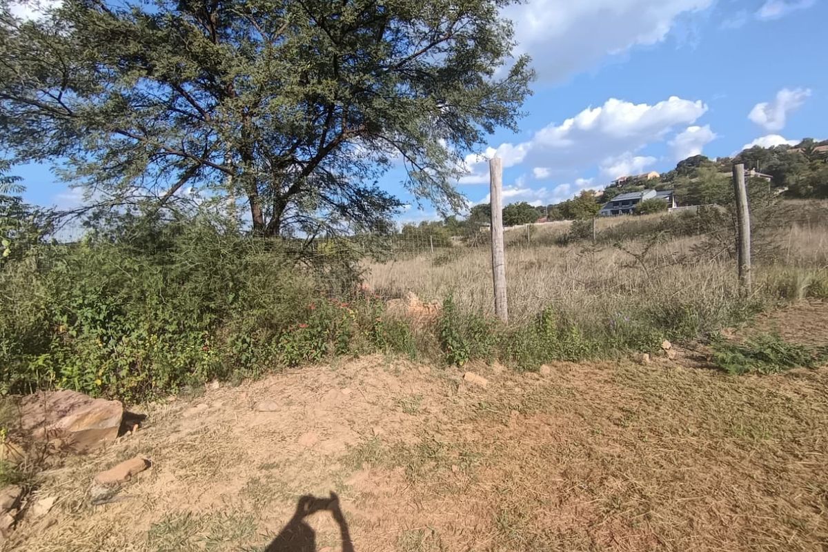 A view of the vacant residential land featuring natural vegetation, mature trees, and existing perimeter fencing.