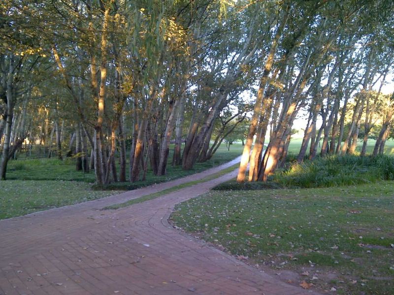 Ultra-Luxurious Vaal Riverfront Estate – A Rare Masterpiece in Vanderbijlpark - Photo 10