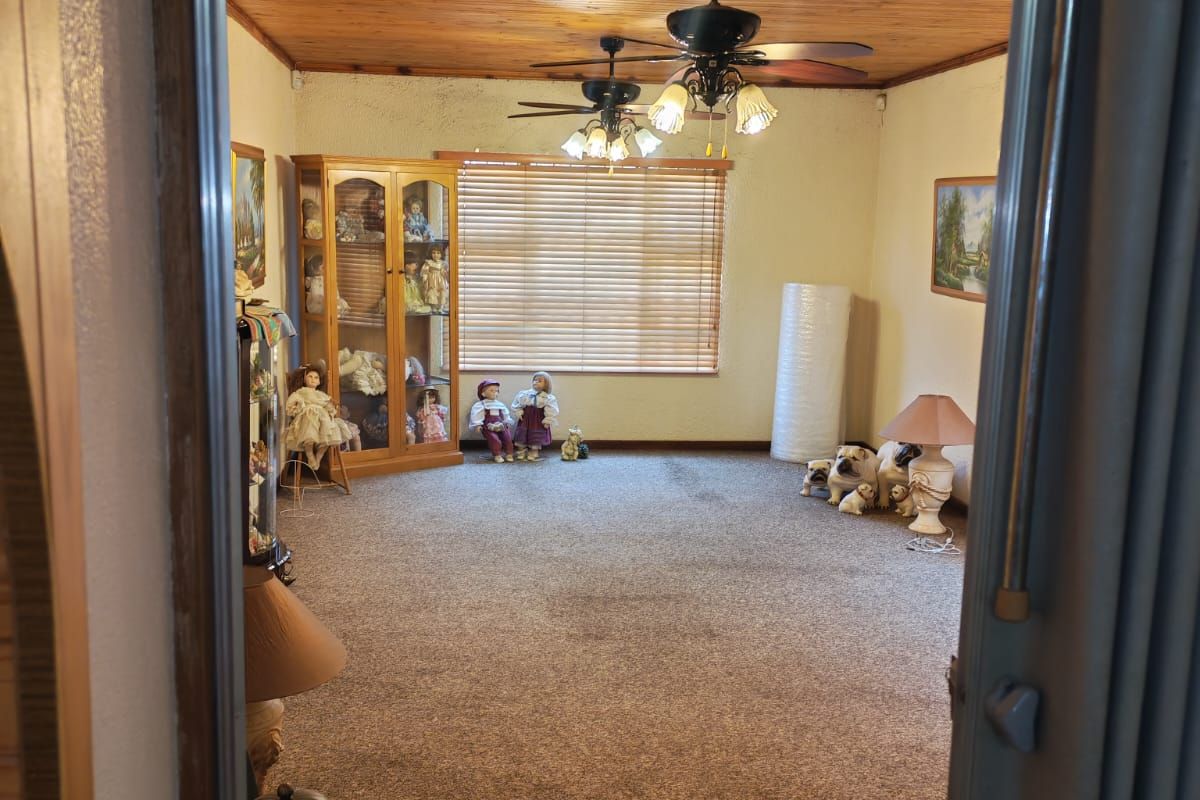 A spacious living room featuring a timber-clad ceiling, dual ceiling fans, and carpeted flooring, viewed from an adjacent doorway.