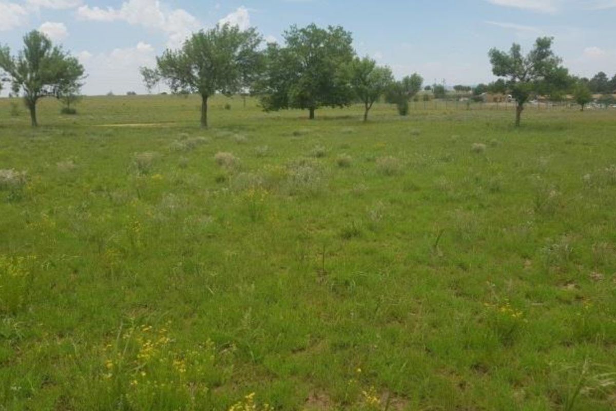 A view of a vacant residential land plot featuring open grassy terrain and scattered mature trees under a clear sky.
