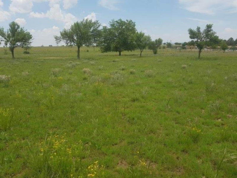 A view of a vacant residential land plot featuring open grassy terrain and scattered mature trees under a clear sky.