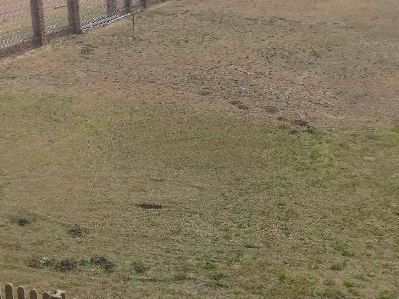 vacand  Land - Photo 2