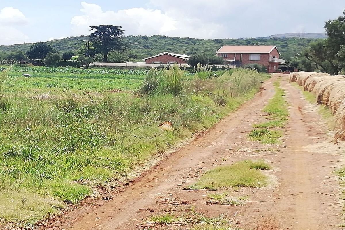 Spacious Farm for Sale – Endless Potential - Photo 4