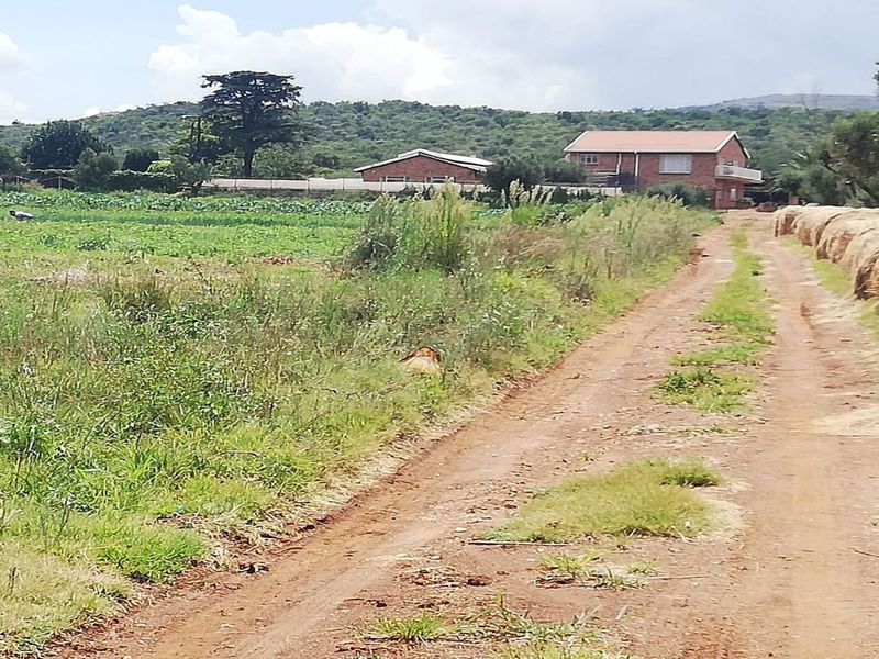 Spacious Farm for Sale – Endless Potential - Photo 4