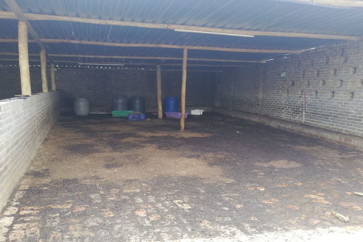 Spacious Farm for Sale – Endless Potential - Photo 2