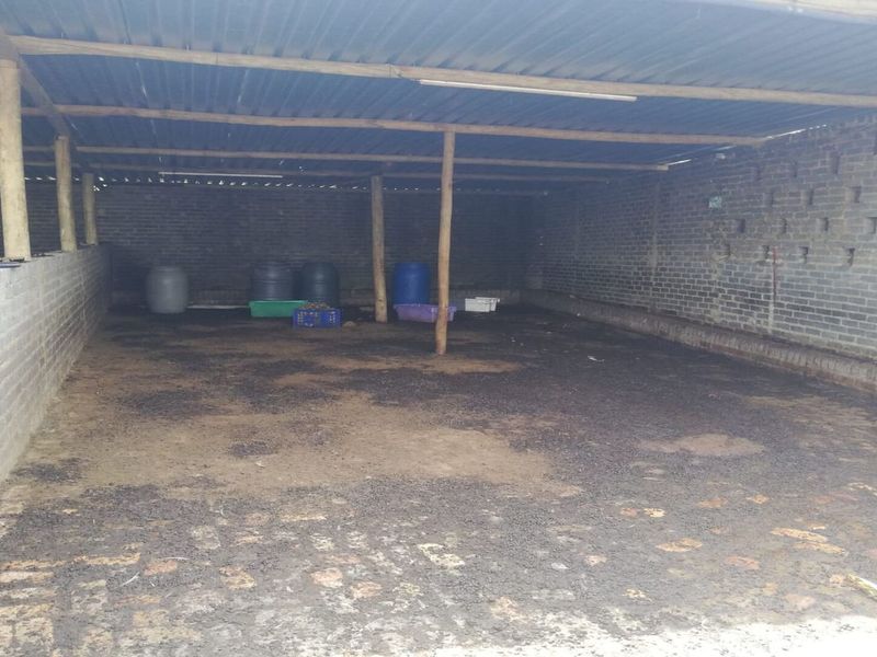 Spacious Farm for Sale – Endless Potential - Photo 2