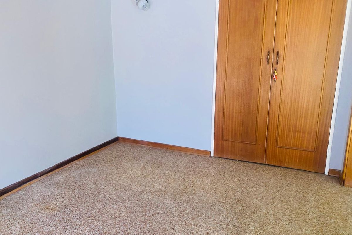 A vacant bedroom featuring built-in timber wardrobes, neutral wall finishes, and carpeted flooring.