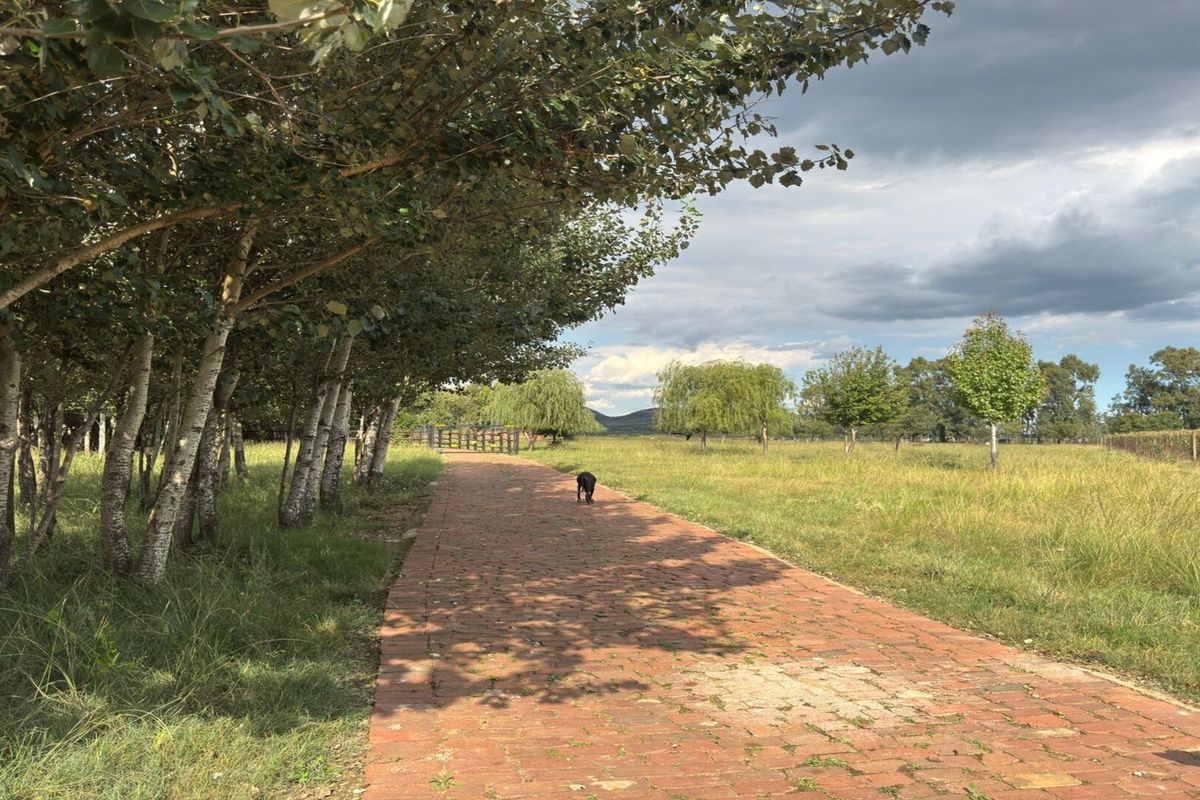 Spacious Farm for Sale – Endless Potential - Photo 4
