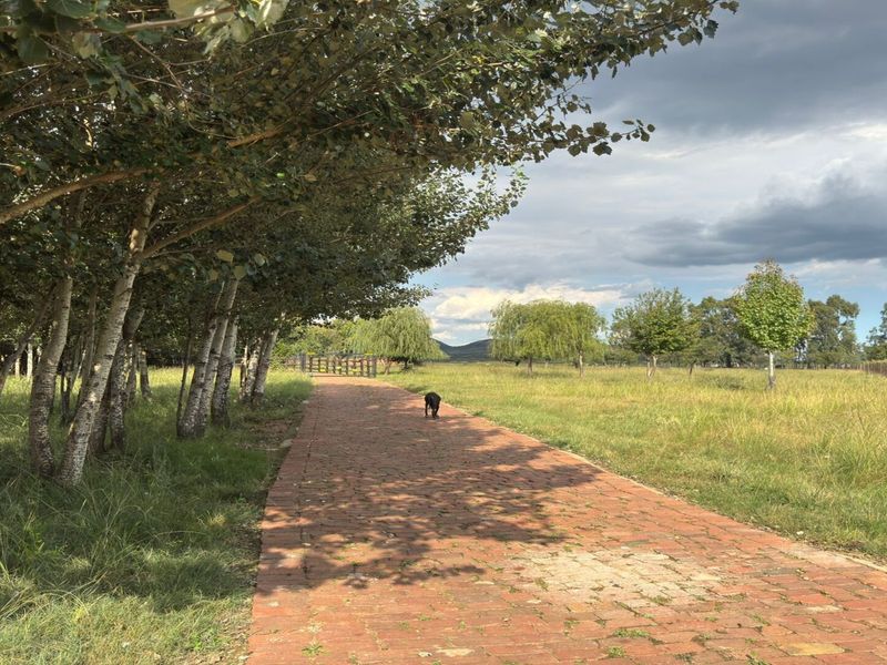 Spacious Farm for Sale – Endless Potential - Photo 4