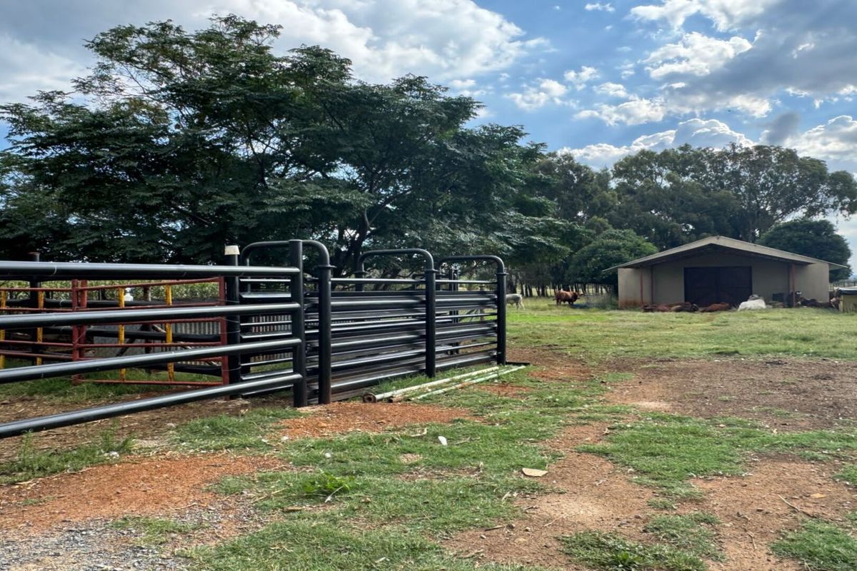 A functional farm yard featuring metal livestock handling pens and a storage shed set within a spacious, open grazing area.