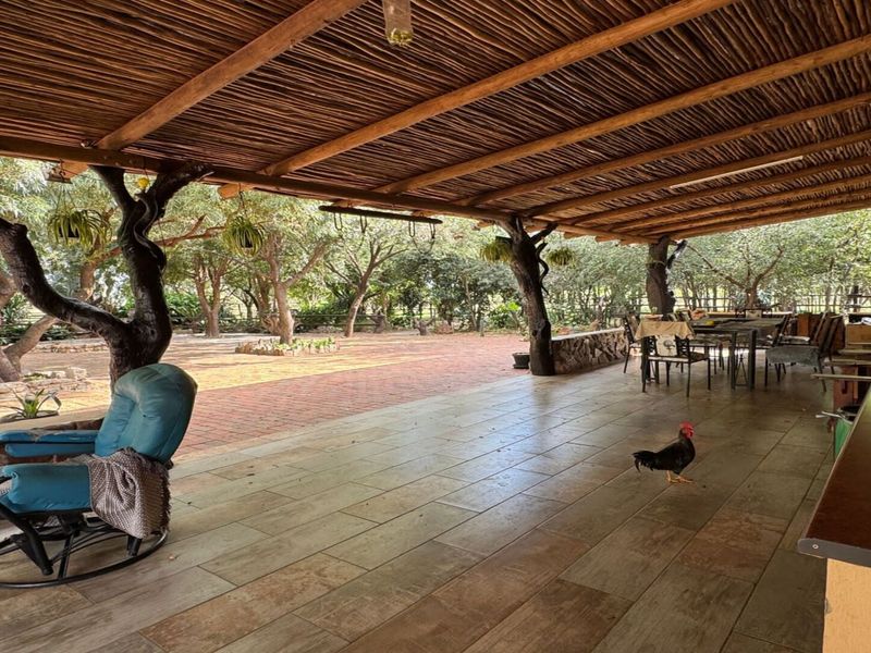 Spacious Farm for Sale – Endless Potential - Photo 9