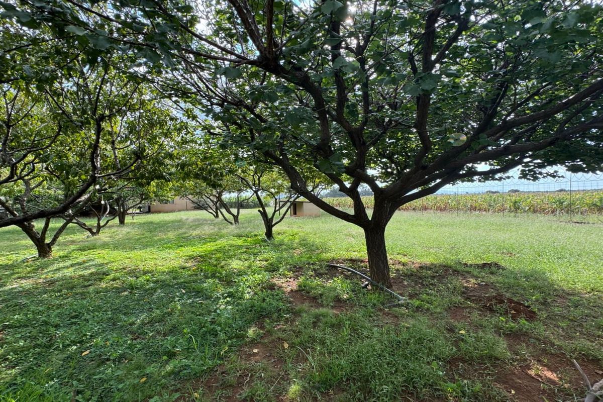 Spacious Farm for Sale – Endless Potential - Photo 5