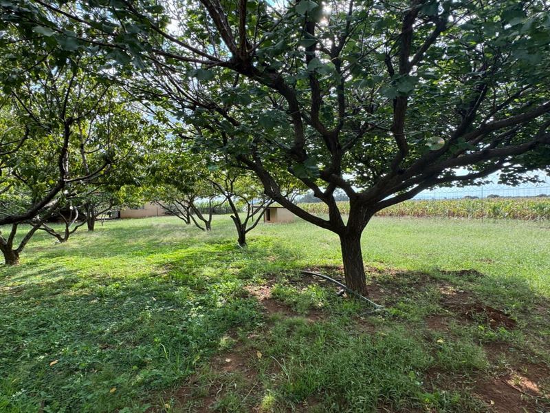 Spacious Farm for Sale – Endless Potential - Photo 5