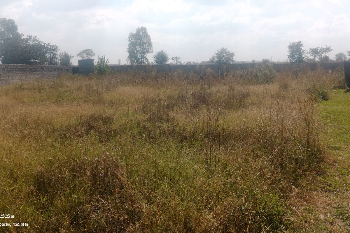 🌿 Prime Vacant Land for Sale in Unitas Park – Build Your Dream Home! - Photo 2