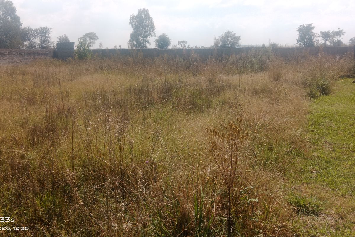 🌿 Prime Vacant Land for Sale in Unitas Park – Build Your Dream Home! - Photo 5